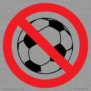 P909 Prohibition: No ball games